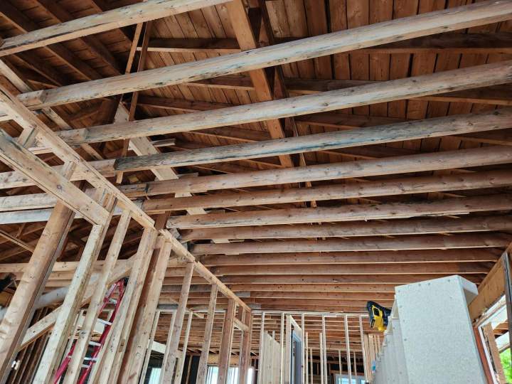 Whole House Renovation Ottawa
